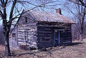 Photo of a single pen log cabin in Allen County from the Petersen Collection.